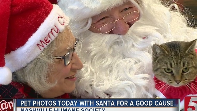 Pets Pose With Santa For Good Cause