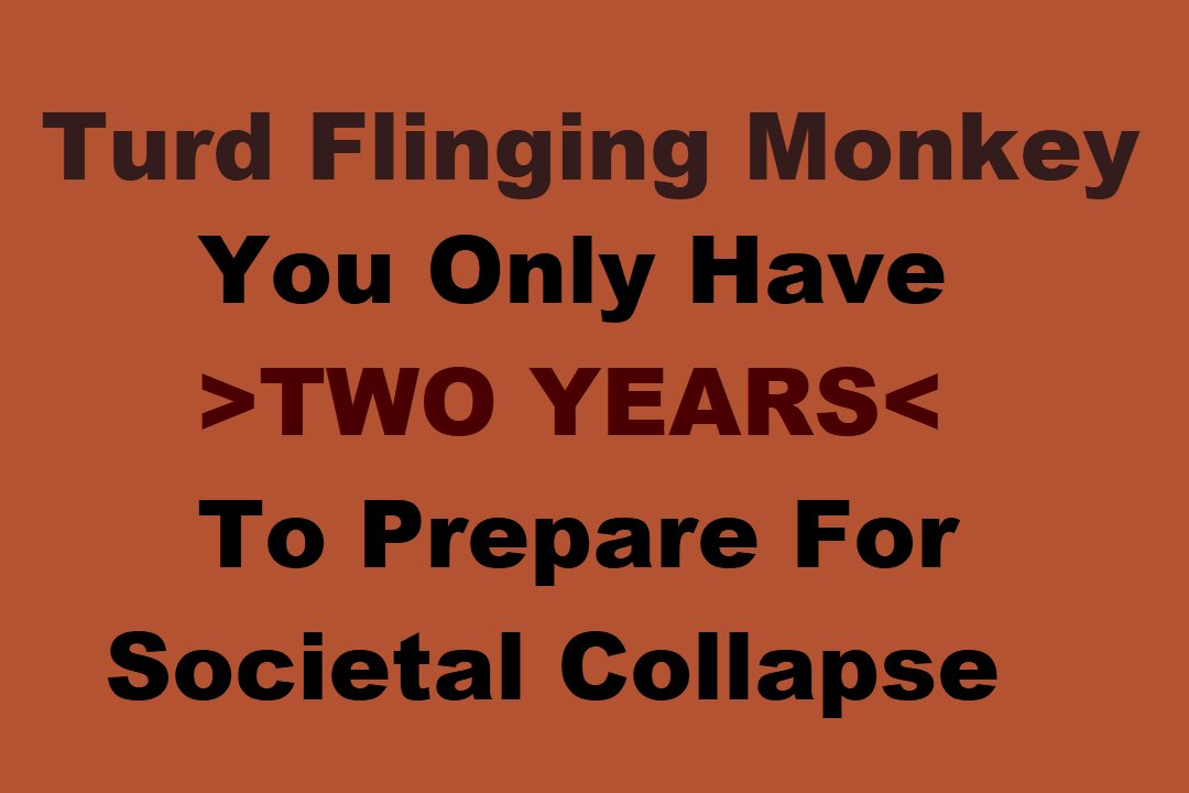 Turd Flinging Monkey - You Only Have TWO YEARS To Prepare For SOCIETAL COLLAPSE - MGTOW