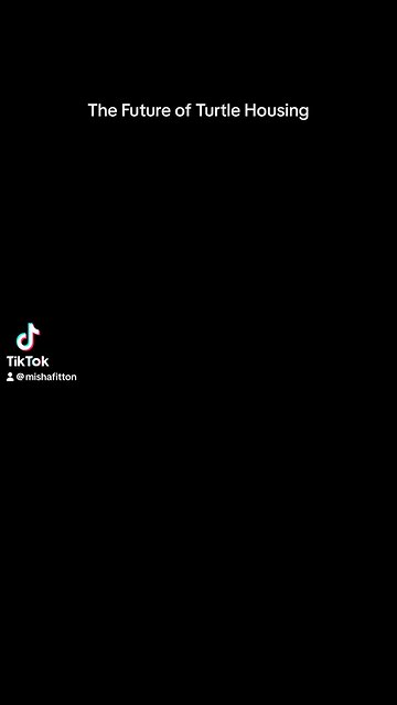 The Future of Turtle Housing