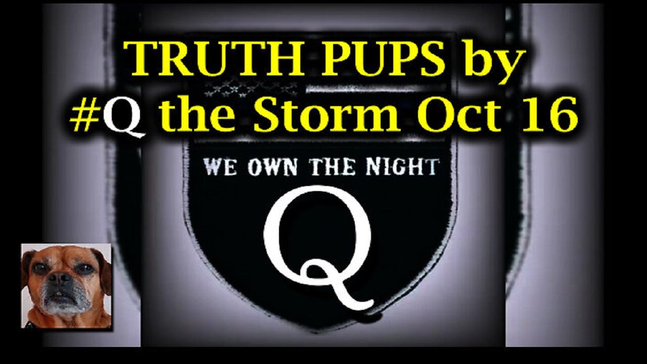 TRUTH PUPS by #Q the Storm Oct 16