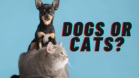 Dogs or cats?