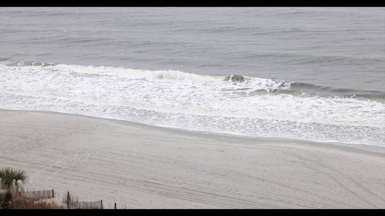 Canon EOS R5 8k - Moment of Zen - Myrtle Beach SC