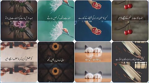 Quotes
