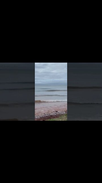 Overlooking the waves at the beach