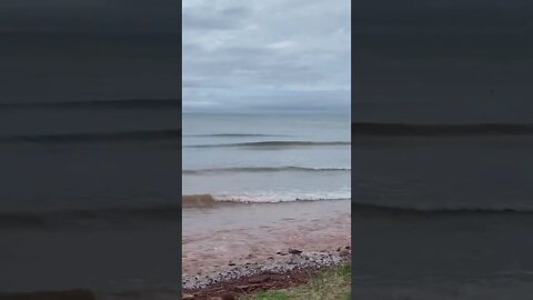 Overlooking the waves at the beach