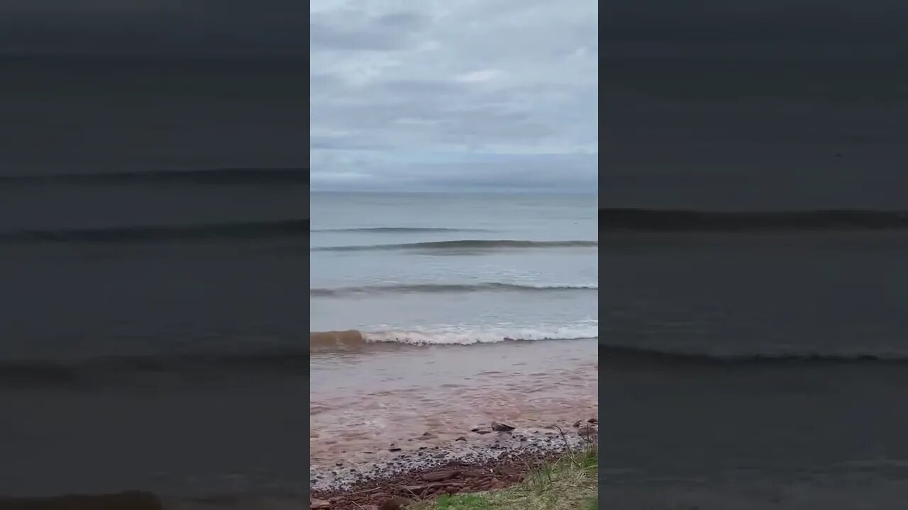 Overlooking the waves at the beach