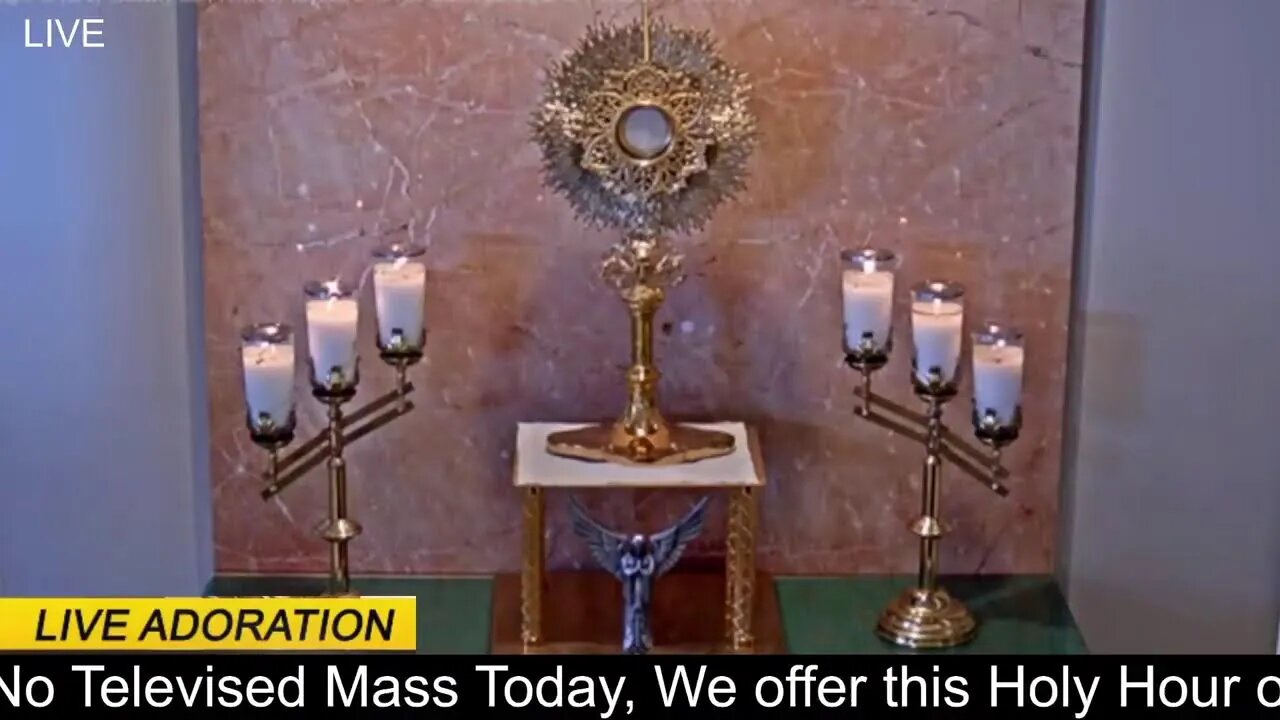 Fr. Frank Pavone is Travelling so there will be No Televised Mass Today, We offer this Holy Hour