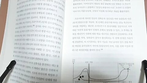 신화와 정신분석 이창재 영웅신화의 해석의 초점과 기본틀 정신발달의 중요요소들