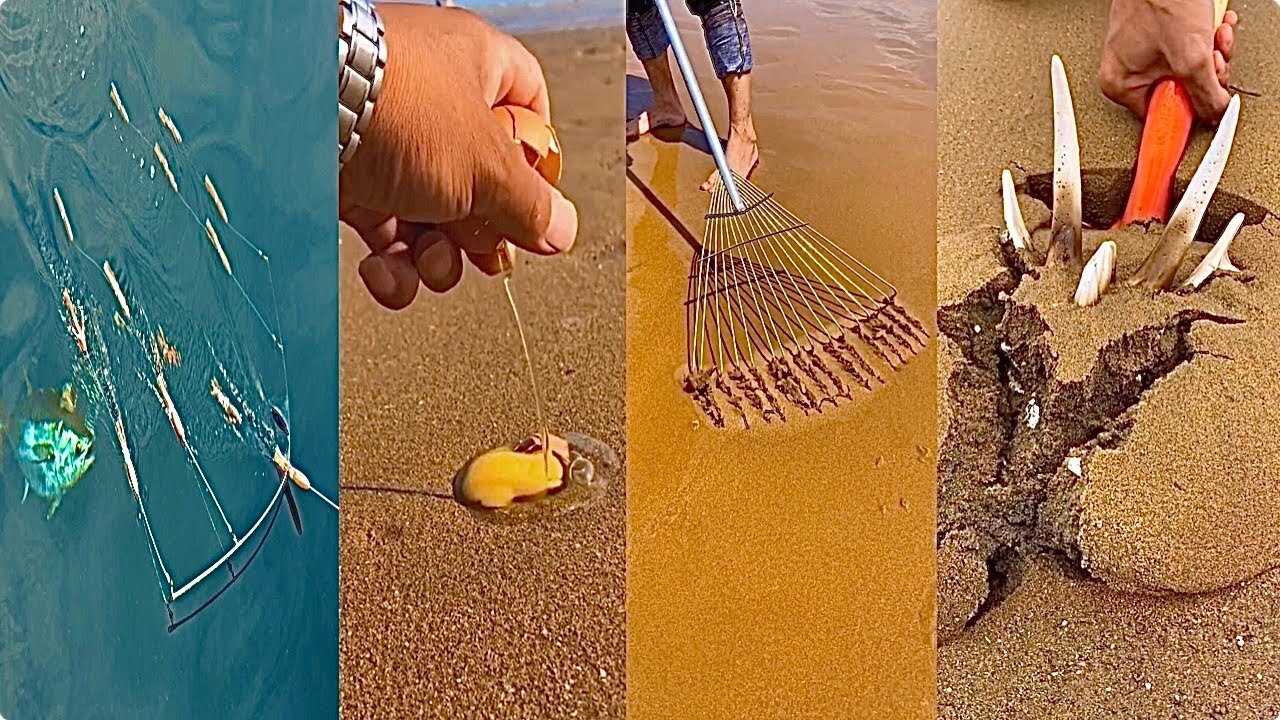 Activities of Chinese Fishermen Hunting Various Sea Animals around the Beach 🐙 Sea Creatures