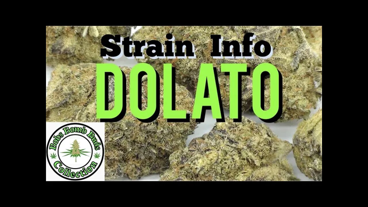 Dolato Cannabis Review