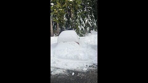 The car under the snow