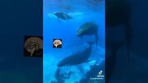 Under Water