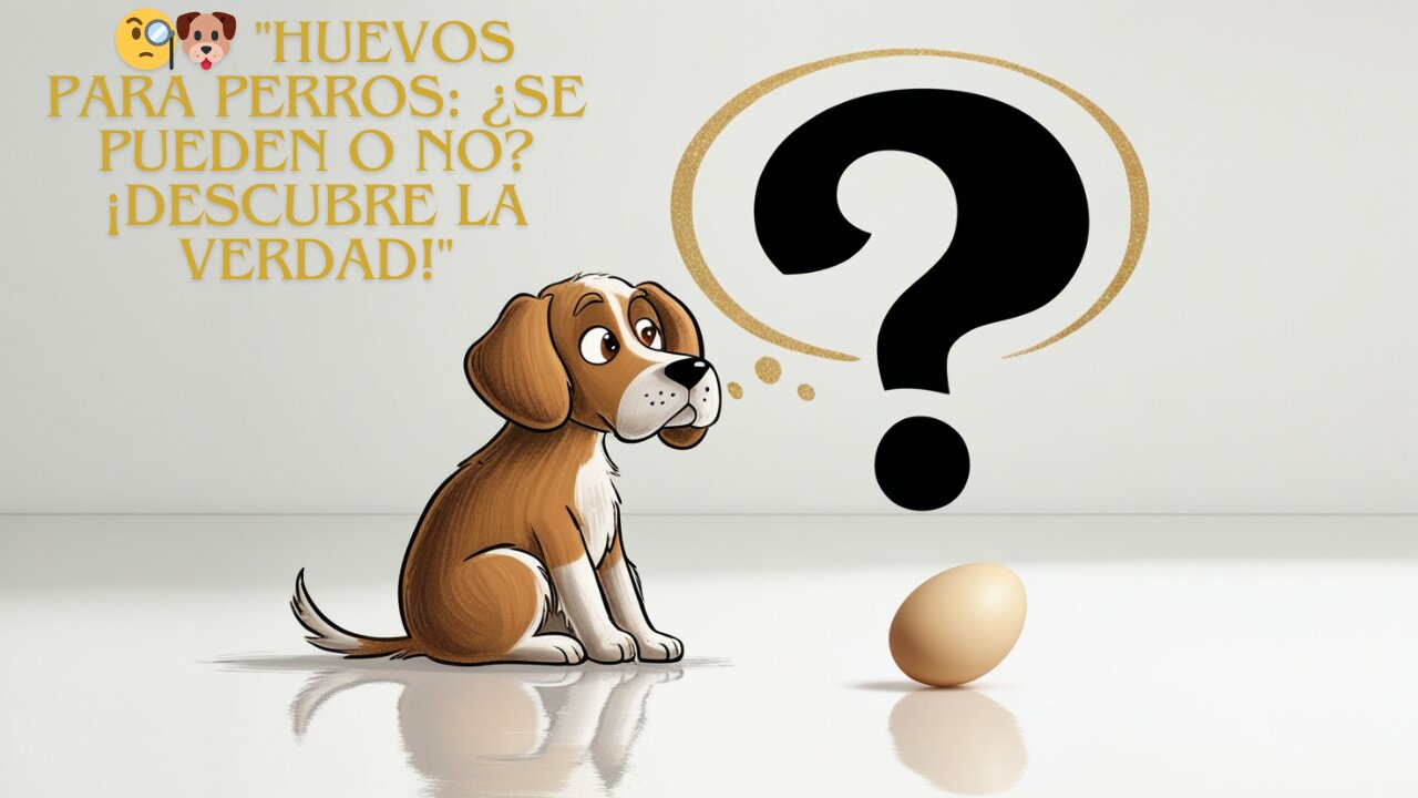 ¿Los huevos son buenos para las mascotas? Descubre los beneficios y el método de preparación ideal.