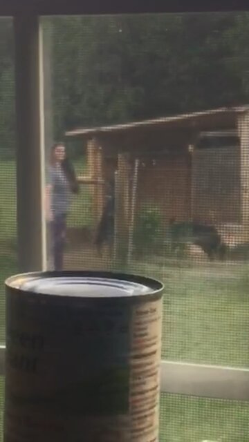 How’s He getting Out