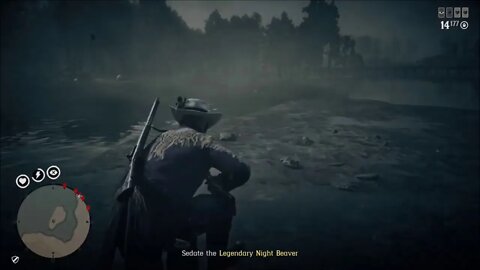 Hunting The Legendary Beaver Red Dead Online Episode