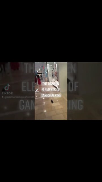 The Unseen Elements of Gangstalking