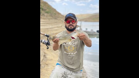 Bass fishing in Castaic Lake California