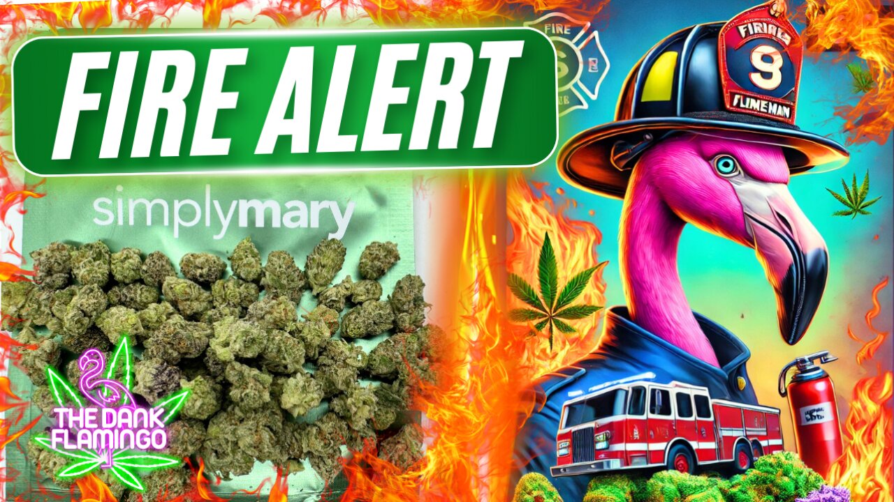 Trying LA Pop Rock x Purple Push Pop THCa from SimplyMary! The Dank Flamingo Cannabis Review!!