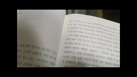 새는 날아가면서 뒤돌아보지 않는다, 류시화, 마지막으로 춤춘 적이언제, 춤명상, 수피 댄스, 이야기꾼, 퀘렌시아, 인생의 문제를 초월했다, 노 프라블럼, 짐코벳이야기, 나는누구인가