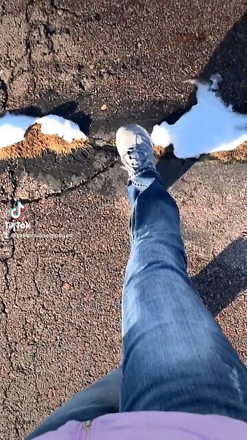 #walker#tamararoseblodgett