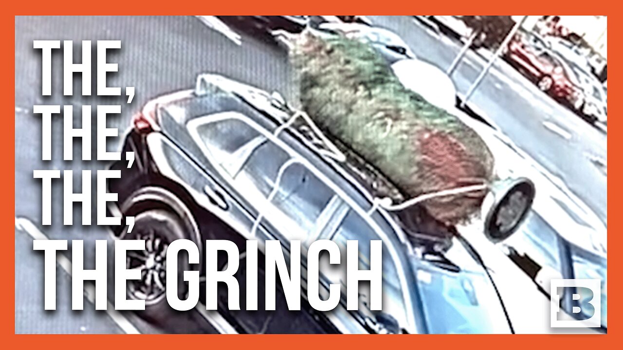 Brazen Holiday Heist: Christmas Tree Pilfered from Car Roof