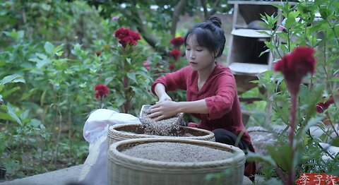 The life of purple rice, pumpkins, and … peanuts