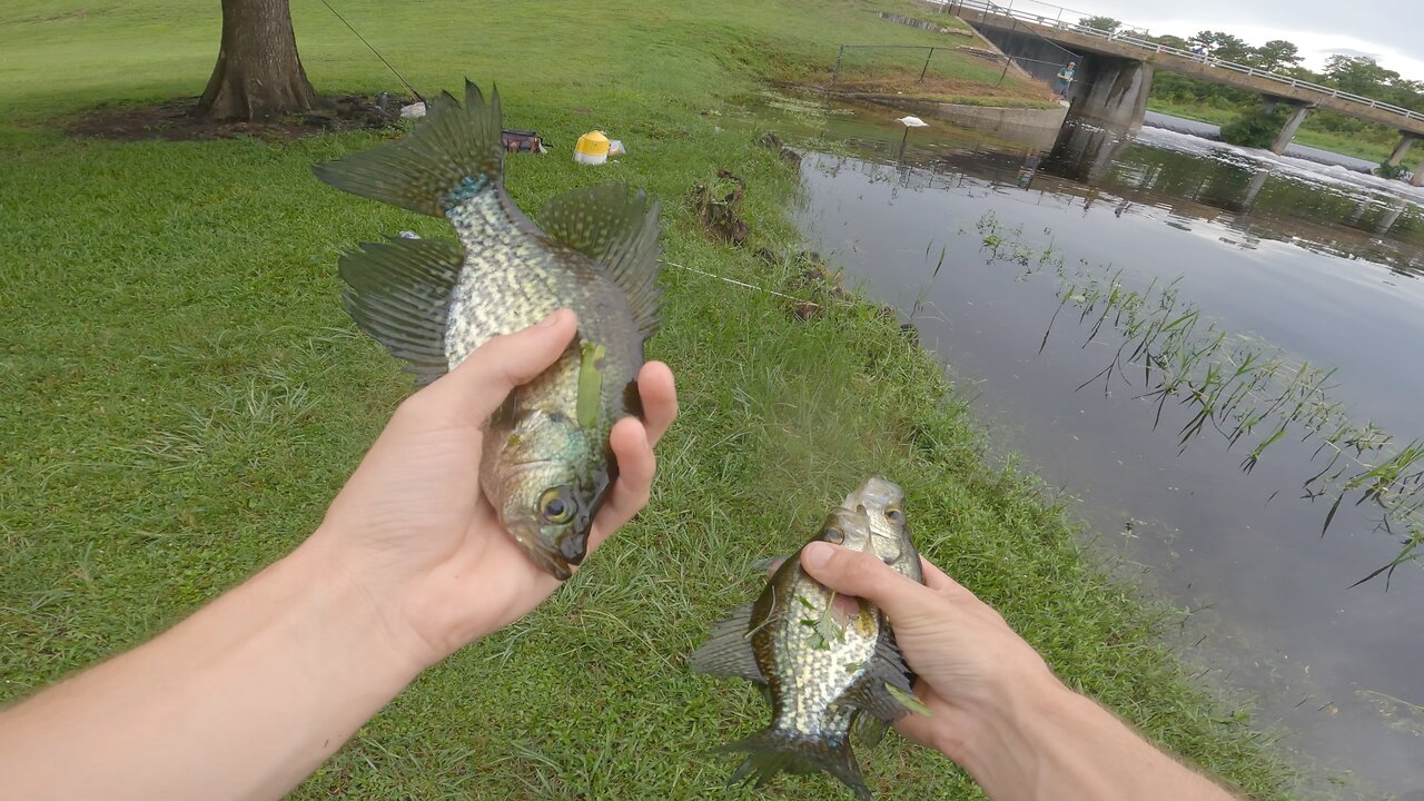 little econ river fishing: crappie, cast netting, and underwater footage