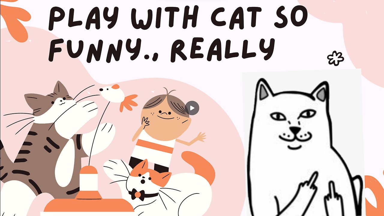 Play with cat make you laugh !!!