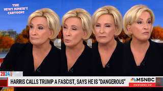 Fake News MSNBC hosts look awful: spewing the old Democrat tropes all day & praying for Trump’s death all night must be exhausting: "Trump is increasingly fascist. He's killing us. He's making us afraid to have babies!"