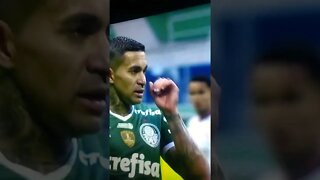 vídeos shorts do kawai #shorts