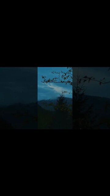 Depois da Chuva ☁️🍃