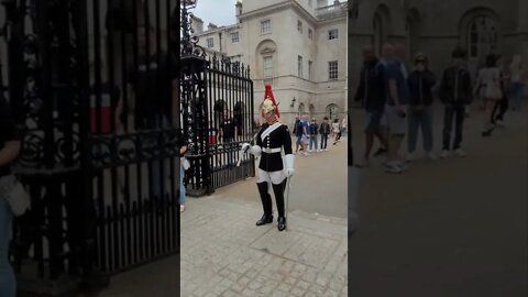 The cute kid wants to be just like the queens guard #horseguardsparade