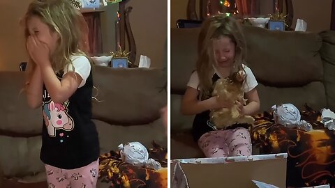 Little Girl Gets Chicken For Christmas, Breaks Into Tears