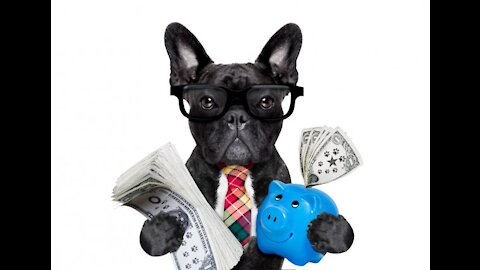 how pets made their owner a millionaire