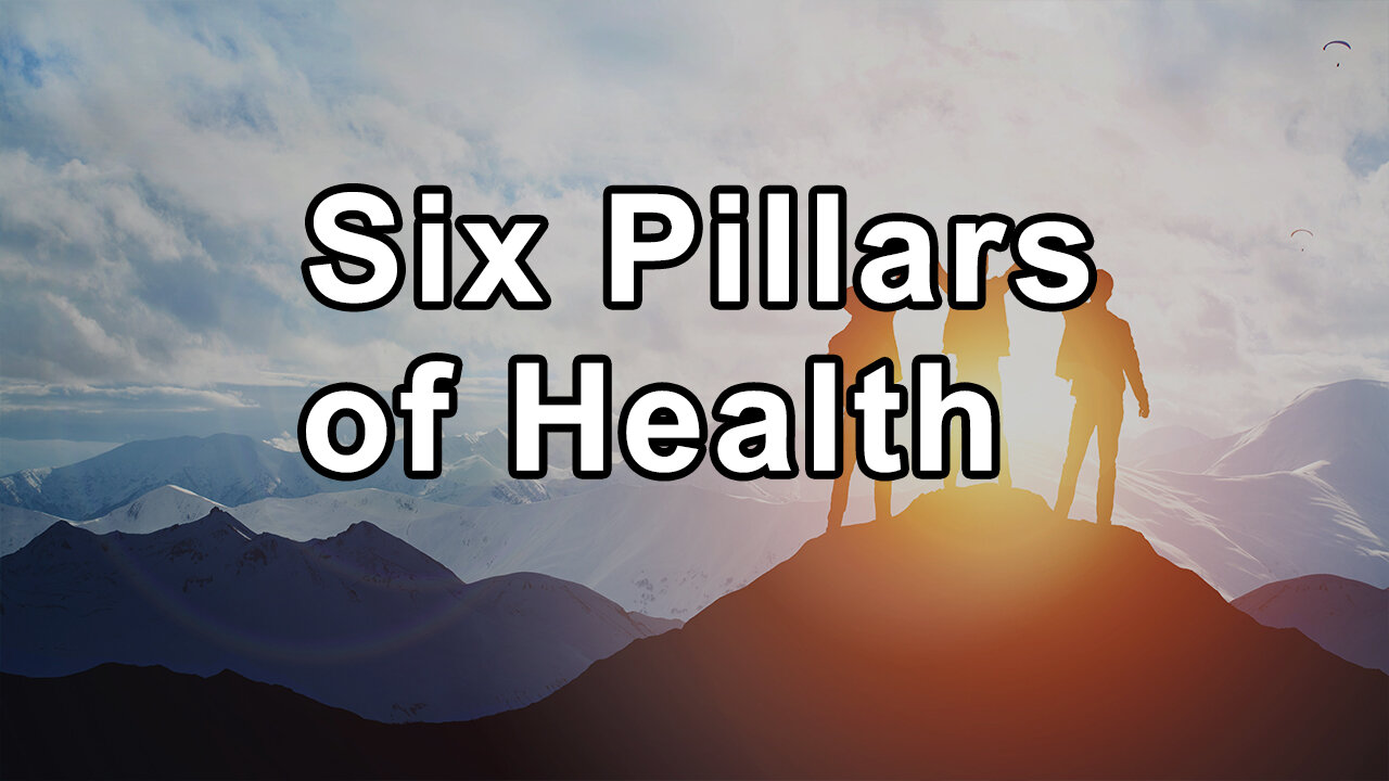 Embracing the Six Pillars of Health: Unveil the Power of Exercise - Beth Frates, M.D.