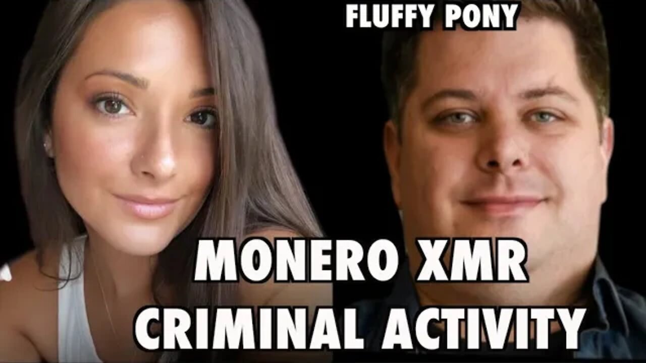 Monero Coin XMR: Monero vs Bitcoin | Fluffy Pony