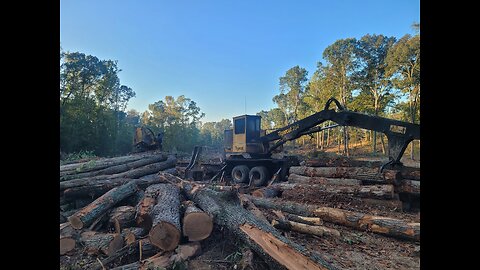 Logging the Uwharries