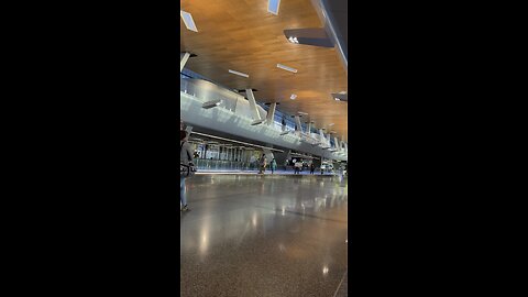 Train inside the airport “Doha”.