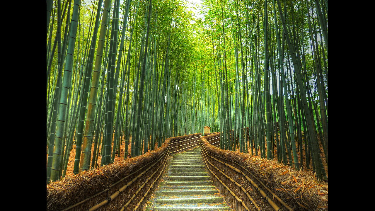 Bamboo Project Complete!