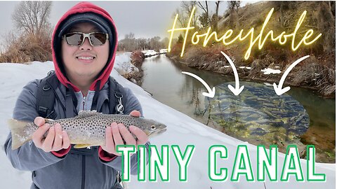 Holy smokes!😳 We hit the MOTHERLODE!😱 So many Trouts in this Small Canal🐟🐟