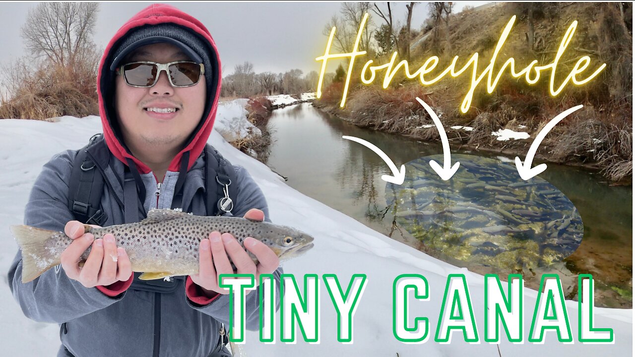 Holy smokes!π³ We hit the MOTHERLODE!π± So many Trouts in this Small Canalππ