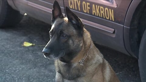 Teen admits to involvement in rash of armed robberies in Akron after K-9 chases him down, police say