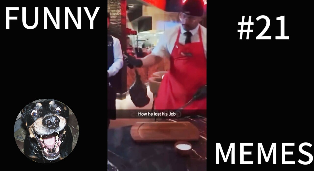 How I lost my 5,000 $ job...| FUNNY MEMES #21