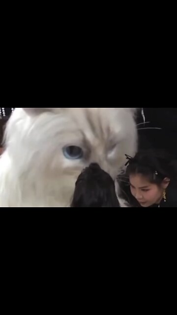 Met Gala Jared Leno Cat Costume is NUTS!