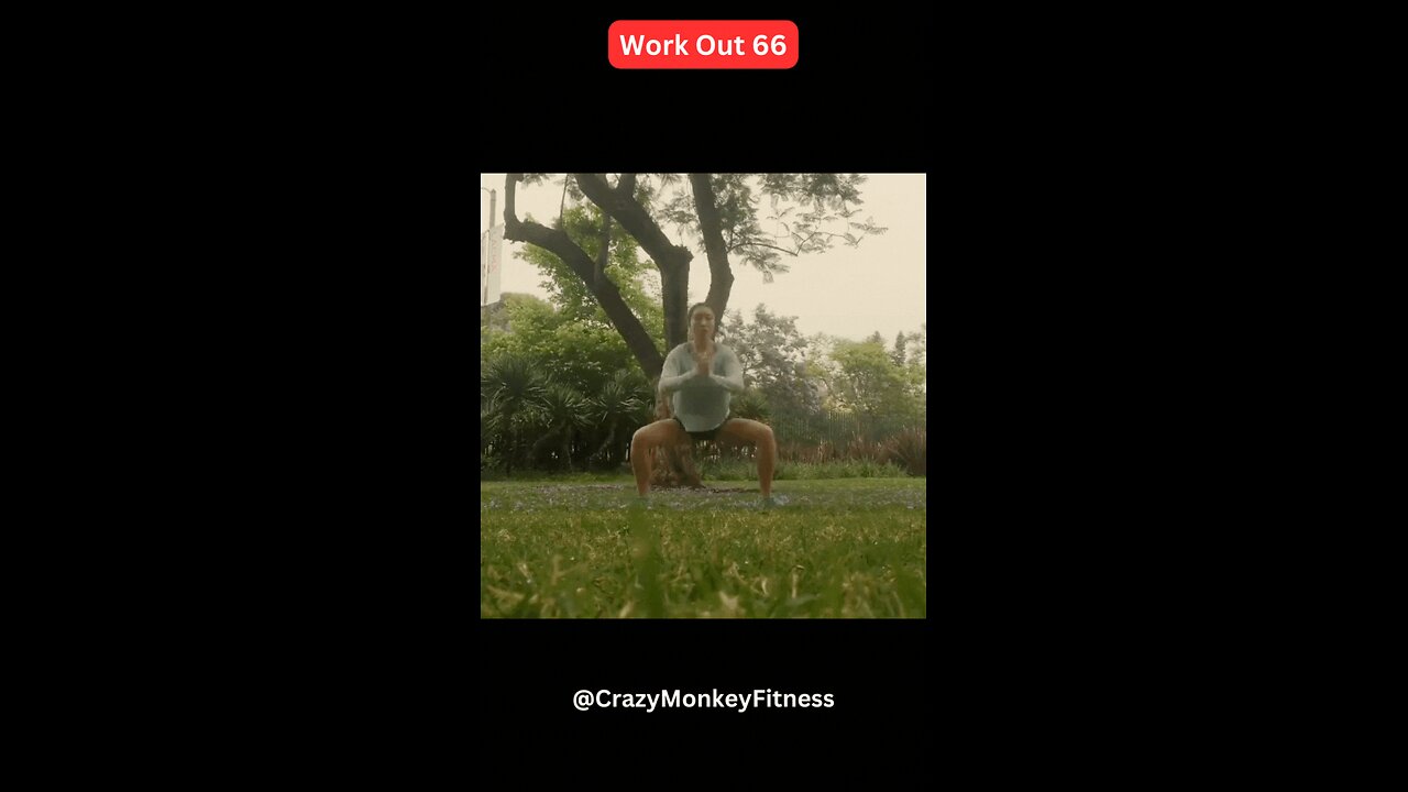 Work Out 66