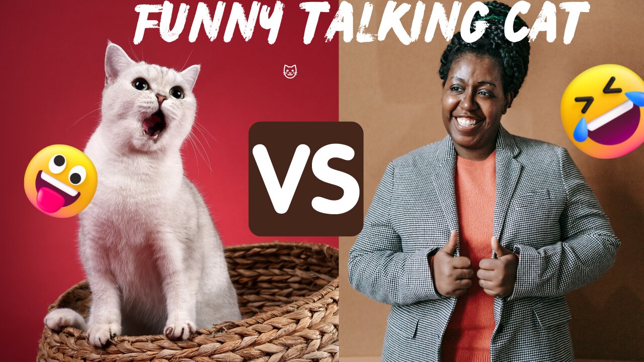 Funny talking cat 2022 new video