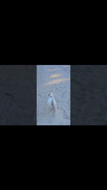 dirt is soft on joints