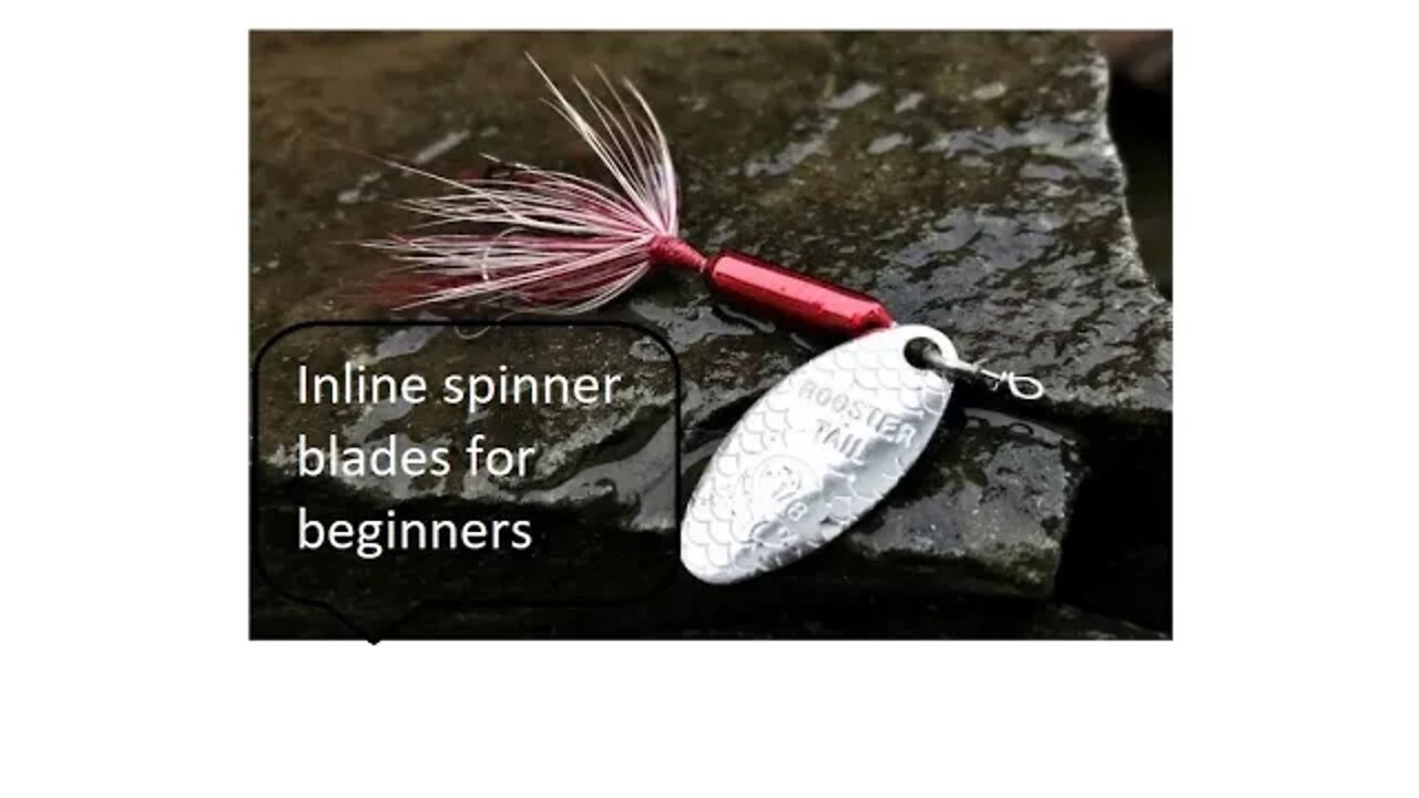 Inline spinner baits for beginners fishing in Patuxent River