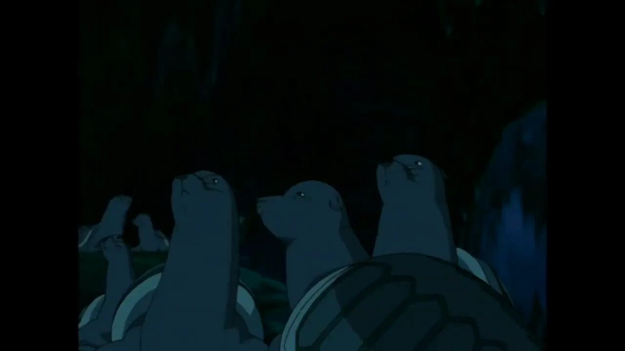 Zuko v Seal turtles (Avatar The Last Air Bender)