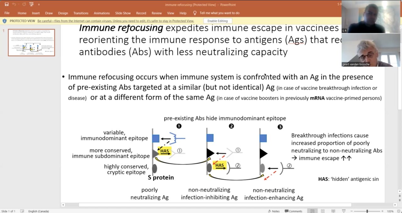 Dr. Vanden Bossche - Stop the COVID vaccines!